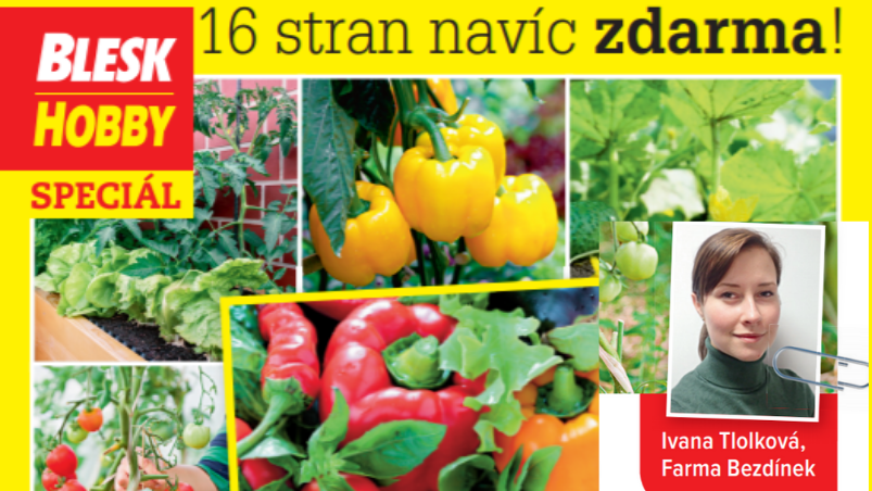 Správné pěstování